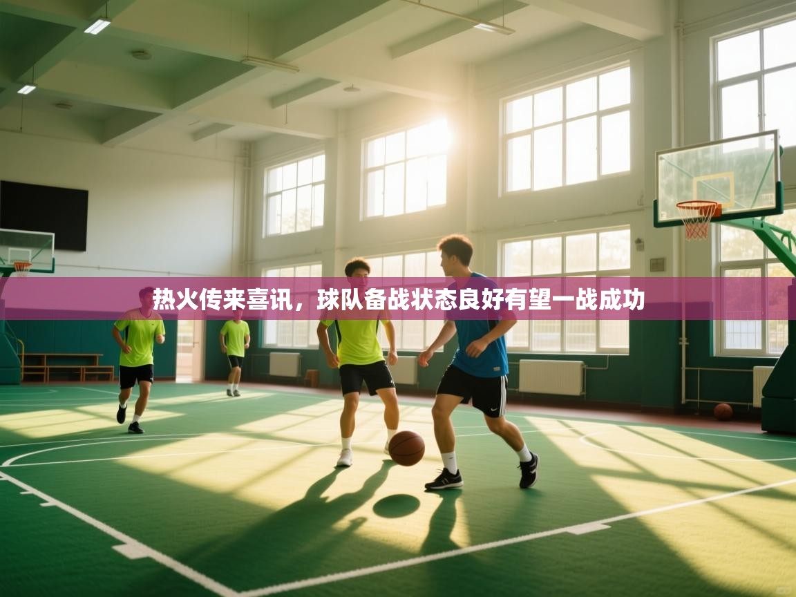 热火传来喜讯，球队备战状态良好有望一战成功  第1张