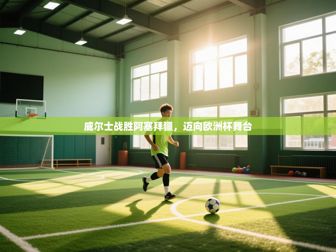 威尔士战胜阿塞拜疆，迈向欧洲杯舞台  第1张