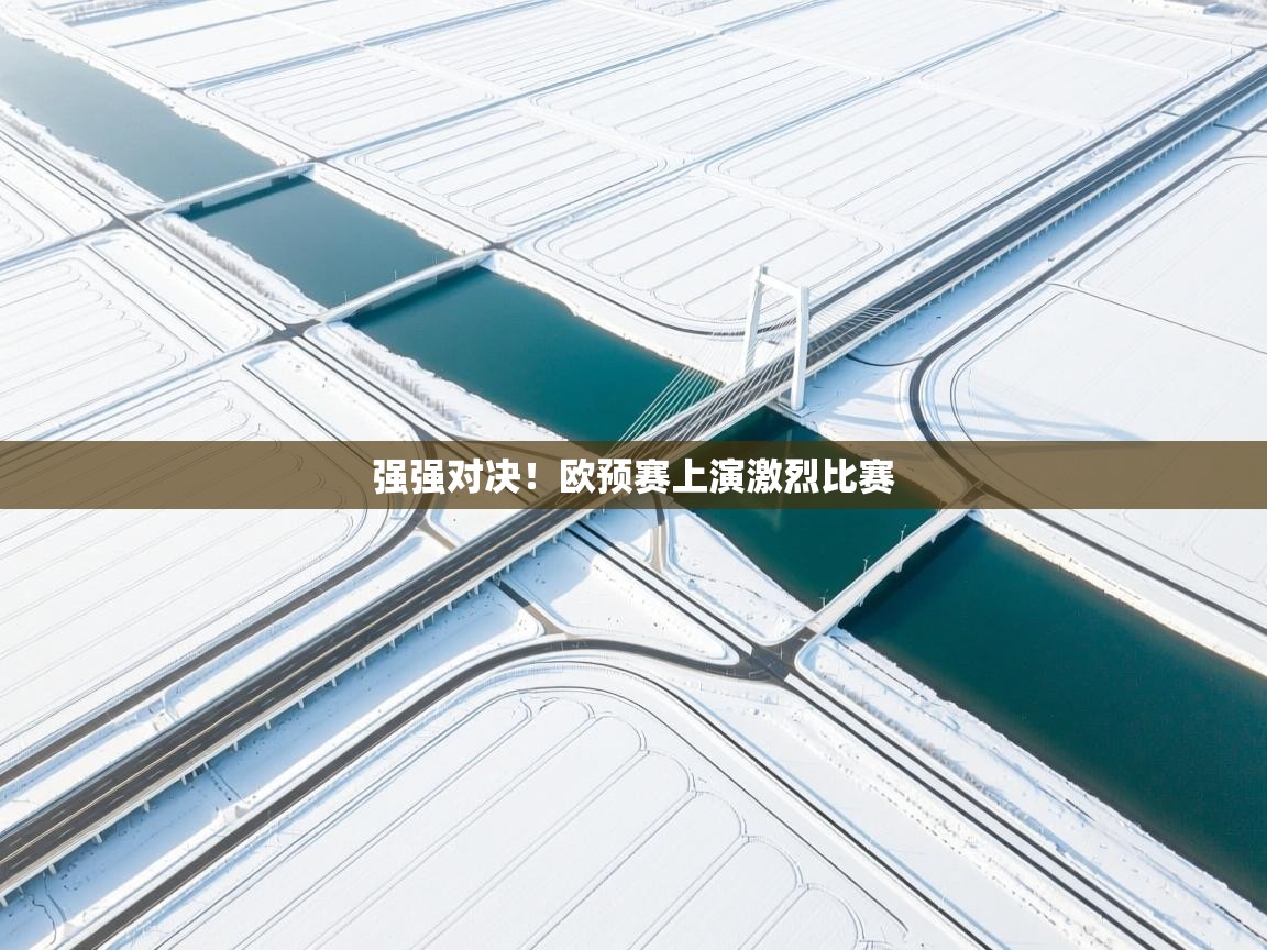 强强对决！欧预赛上演激烈比赛  第2张