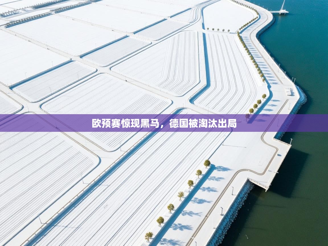 欧预赛惊现黑马，德国被淘汰出局  第2张